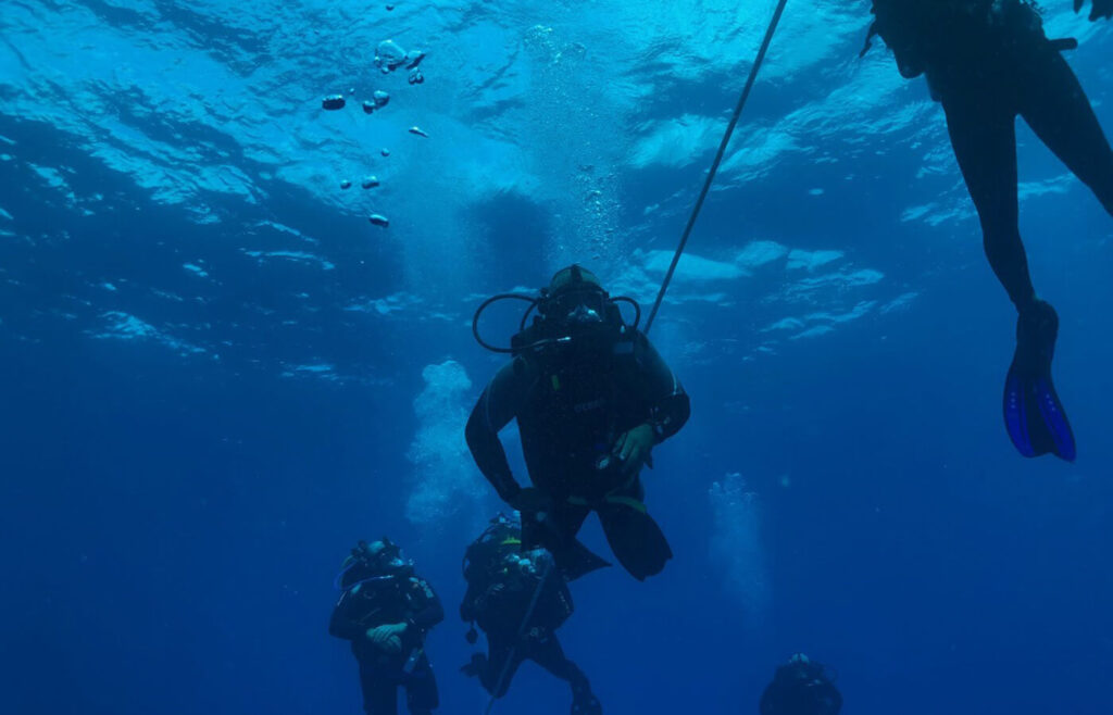 med dive
