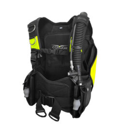 bcds